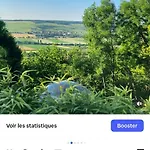 Le Coq De Champagne