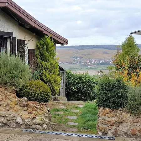 Le Coq De Champagne Dormans