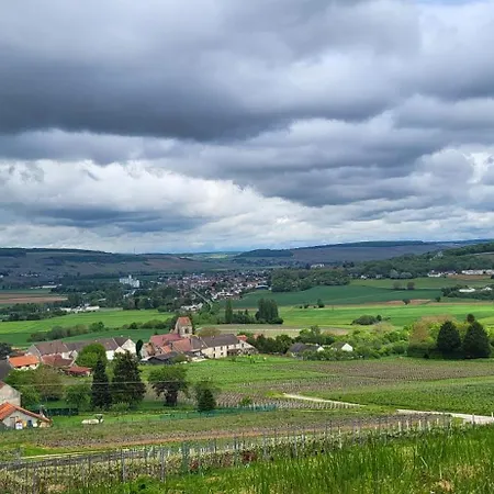 Le Coq De Champagne Dormans