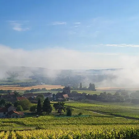 Le Coq De Champagne