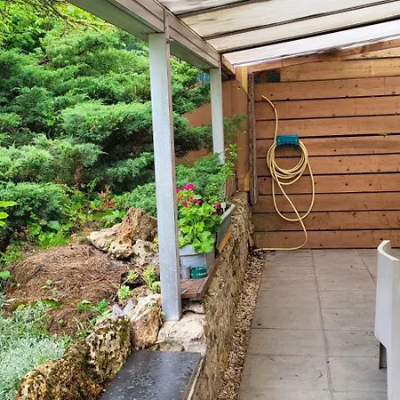 Le Coq De Champagne * Dormans