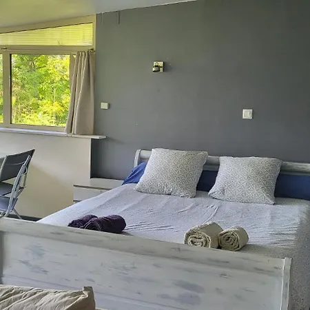 Le Coq De Champagne Vakantiehuis *