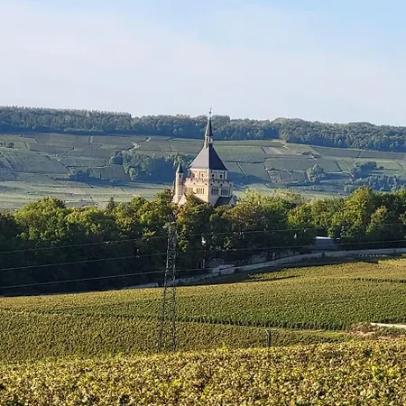Holiday home Le Coq De Champagne