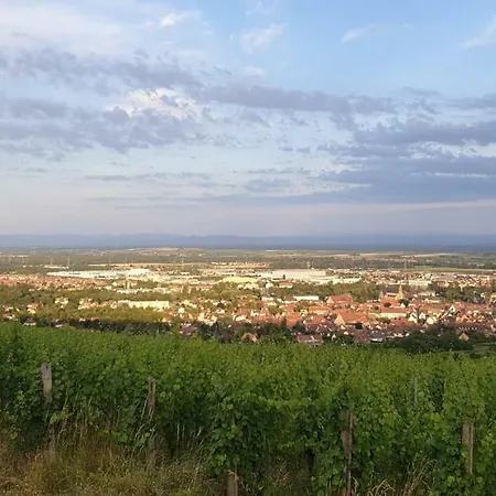 Le Coq De Champagne * Dormans