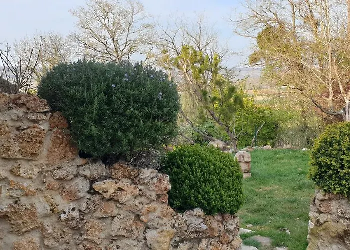 Le Coq De Champagne Dormans