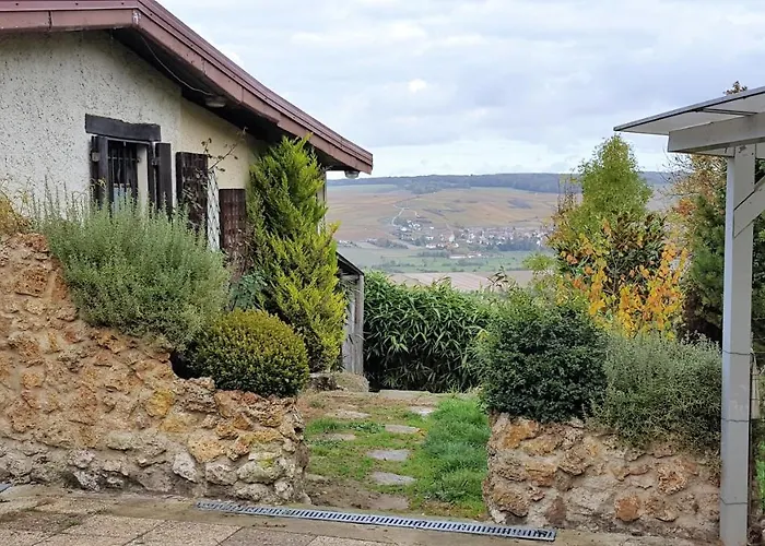 Le Coq De Champagne Dormans